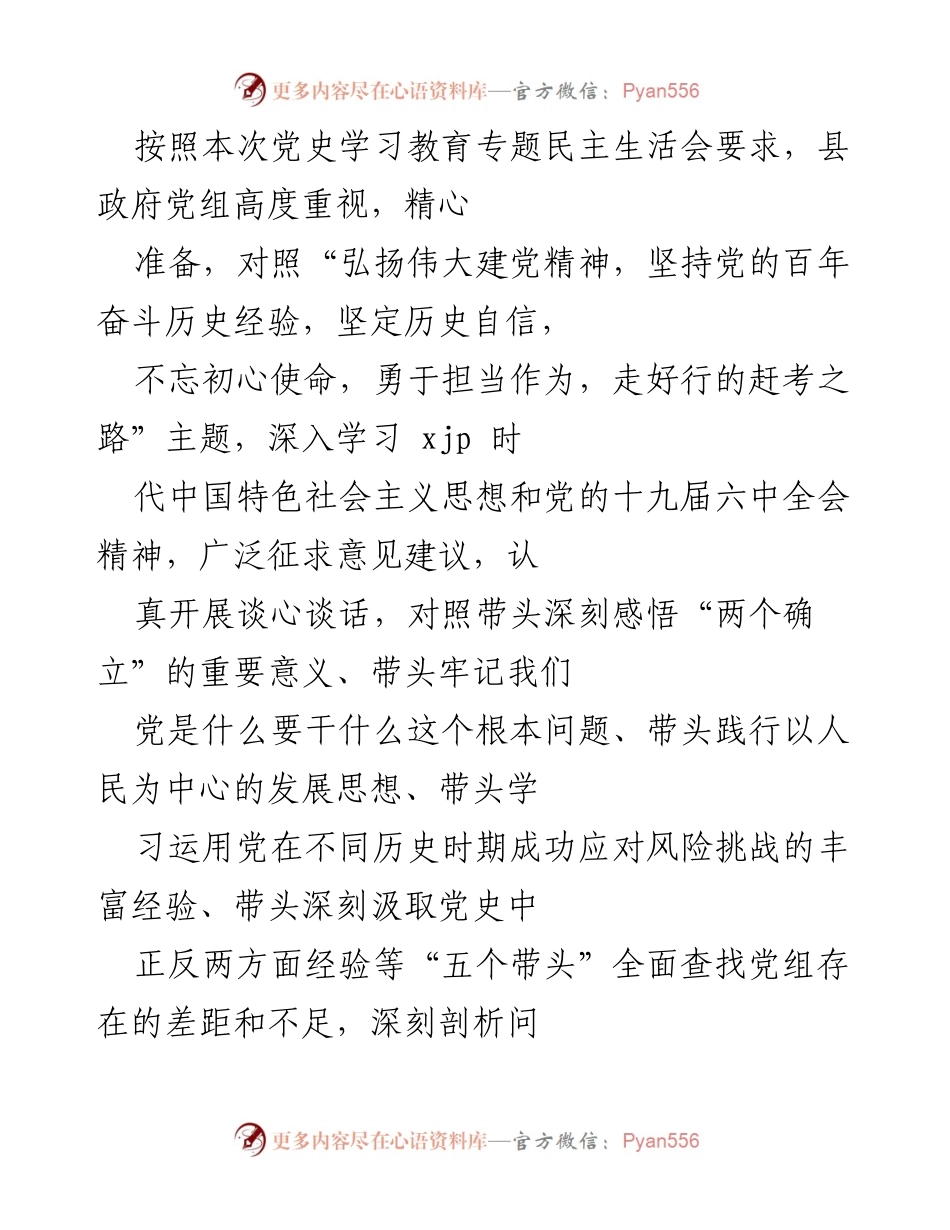 [发言] 党史学习教育专题民主生活会 - 深入查找差距，明确整改方向：县政府党组的自我剖析与反思.docx_第1页