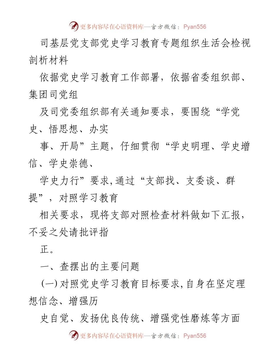 [发言] 党史学习教育专题组织生活会 - 党支部检视剖析材料总结.docx_第1页