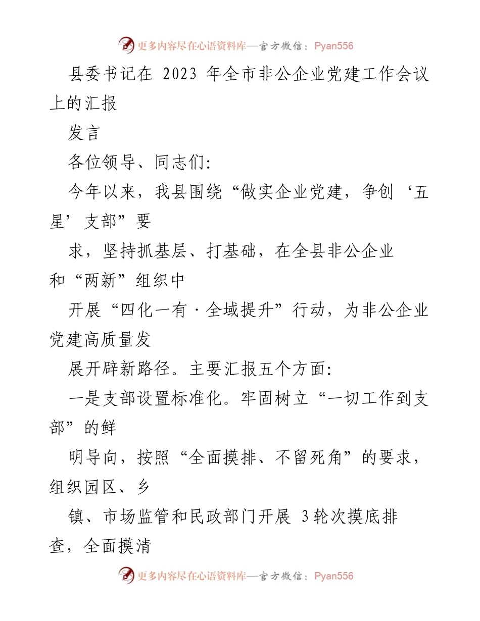 [发言] 会议 - 非公企业党建工作高质量发展汇报.docx_第1页