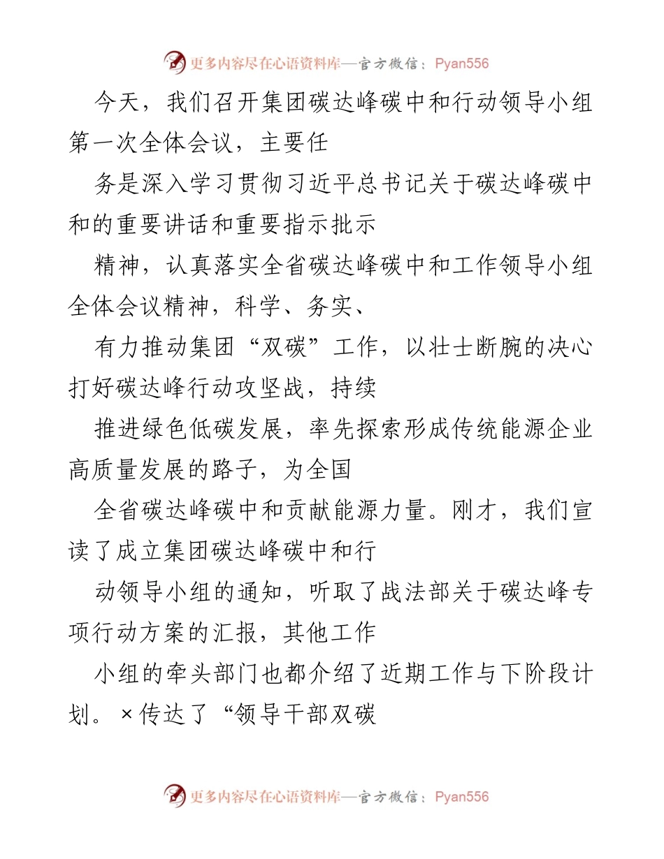 [发言] 会议 - 集团碳达峰碳中和行动领导小组第一次全体会议总结与任务部署.docx_第1页