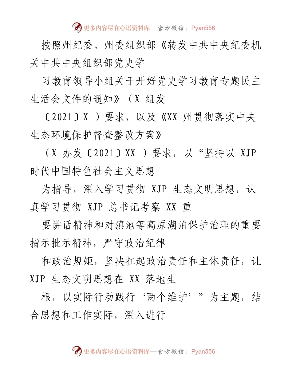 [发言] 党史学习教育专题民主生活会 - 深入剖析党史学习与生态文明思想落实的现状与问题.docx_第1页