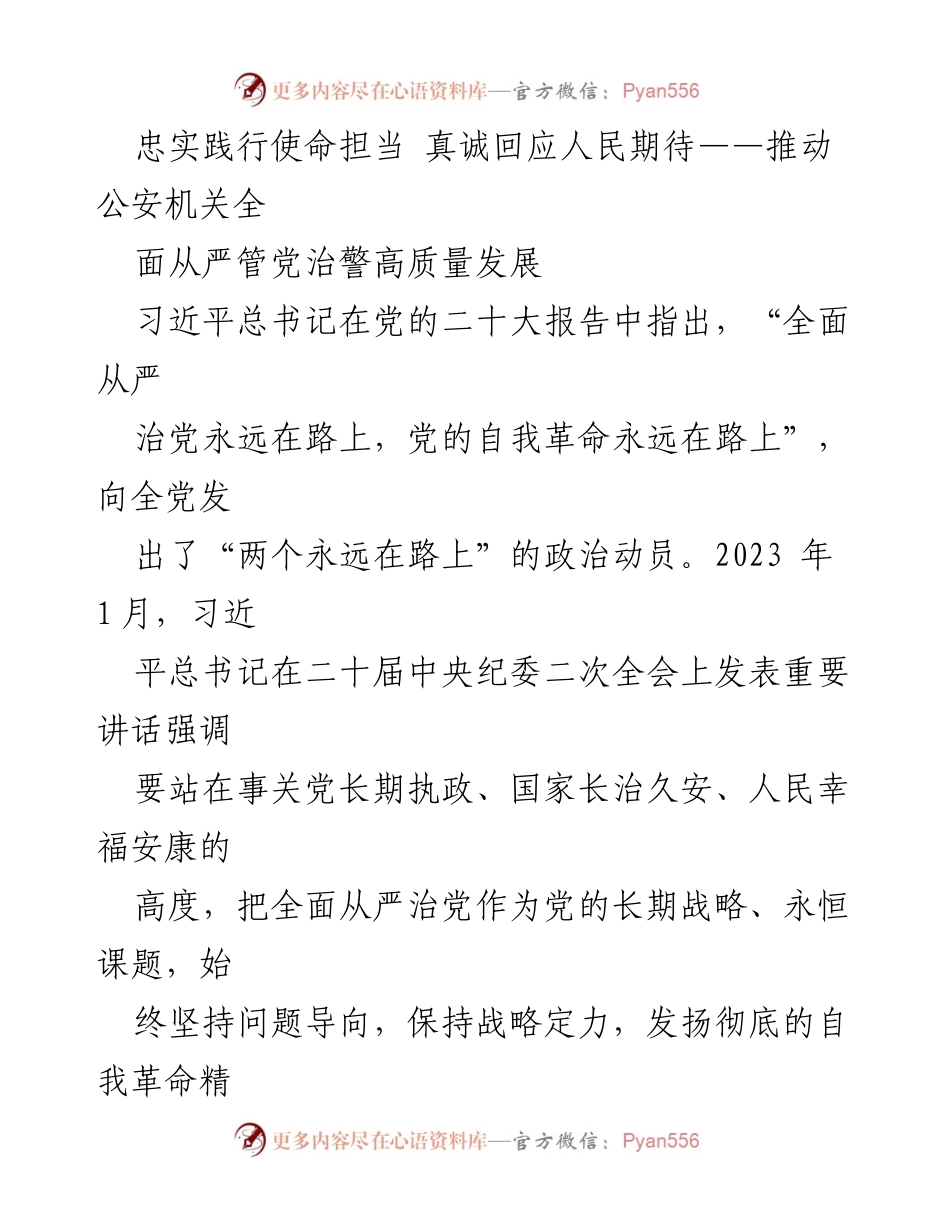[发言] 会议 - 推动公安机关全面从严管党治警的使命与责任.docx_第1页