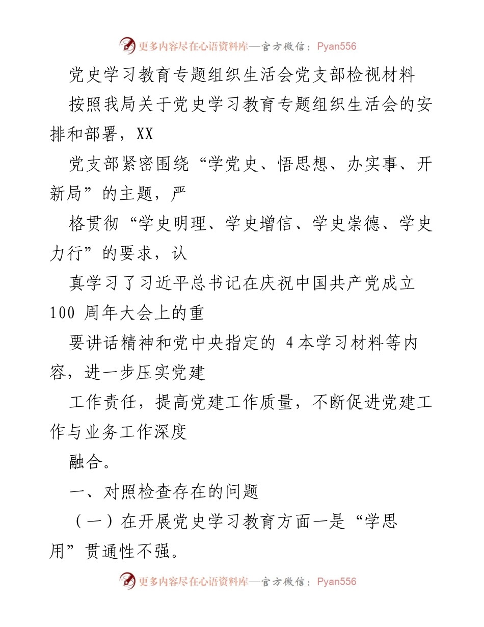 [发言] 党史学习教育专题组织生活会 - 党支部检视材料及整改措施.docx_第1页