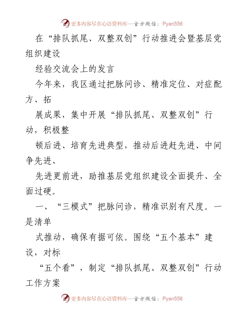 [发言] 会议 - 基层党组织建设的“排队抓尾、双整双创”行动推进经验分享.docx_第1页