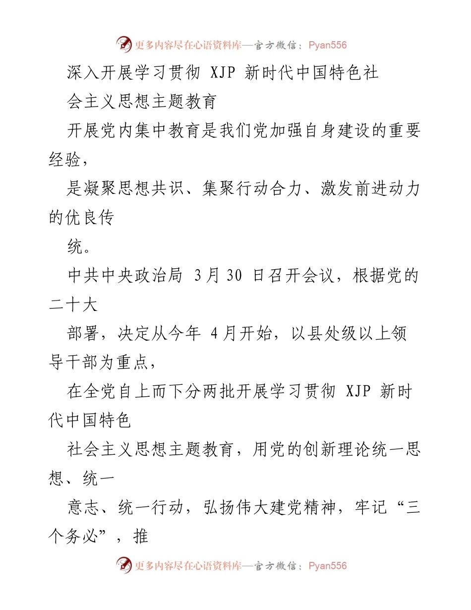 [发言] 党内教育会议 - 深入开展学习贯彻 XJP 新时代中国特色社会主义思想的重要性.docx_第1页