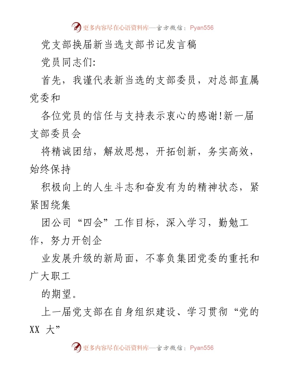 [发言] 党支部换届 - 新支部书记发言：团结奋进，共创佳绩.docx_第1页