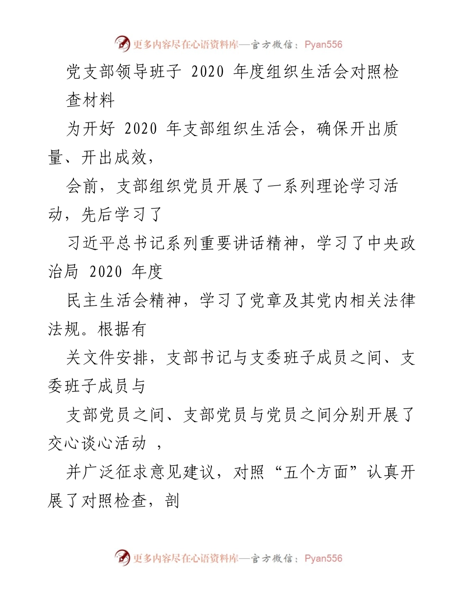 [发言] 党支部组织生活会 - 2020年度党支部领导班子对照检查材料总结.docx_第1页