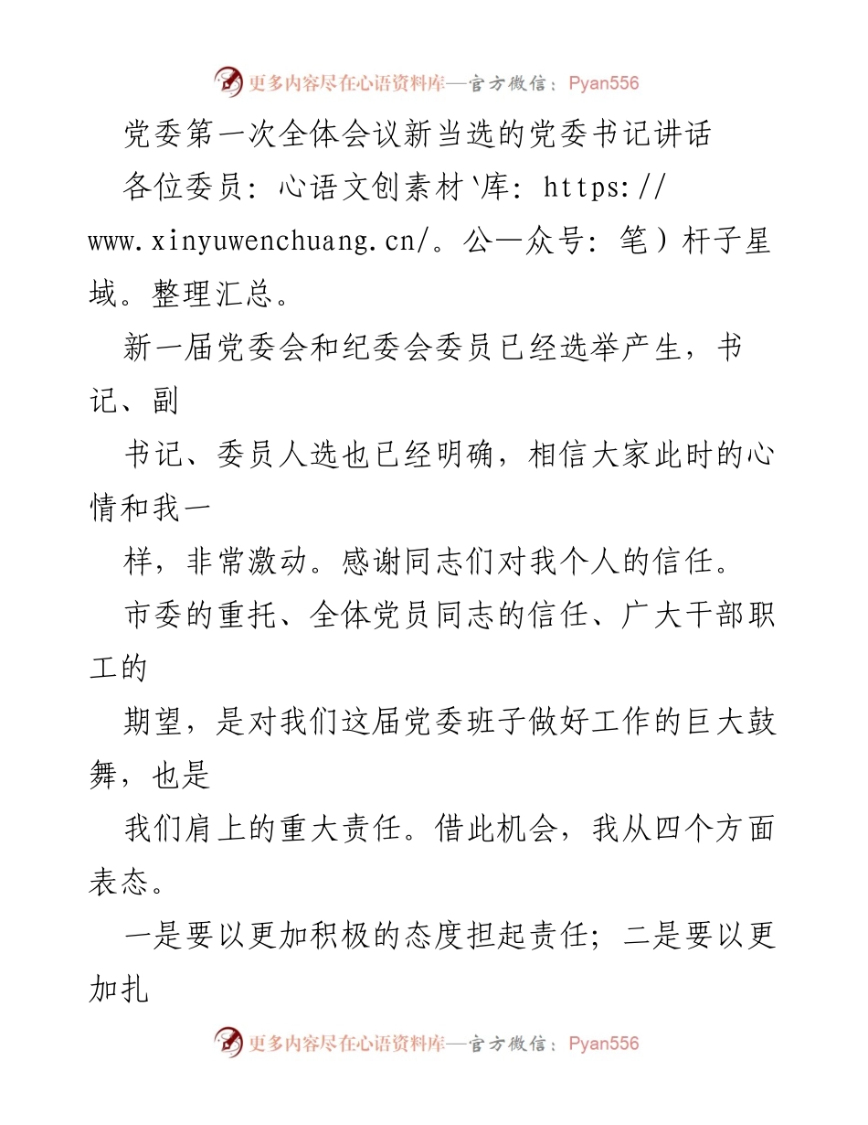 [发言] 党委第一次全体会议 - 新任党委书记的责任与使命宣言.docx_第1页