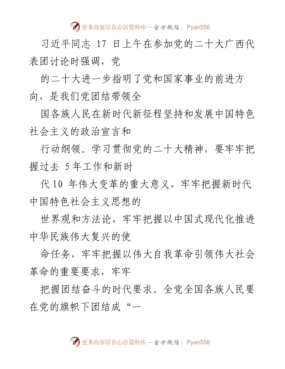 [发言] 党的二十大广西代表团讨论 - 学习贯彻党的二十大精神，推动民族团结与伟大复兴.docx_第1页