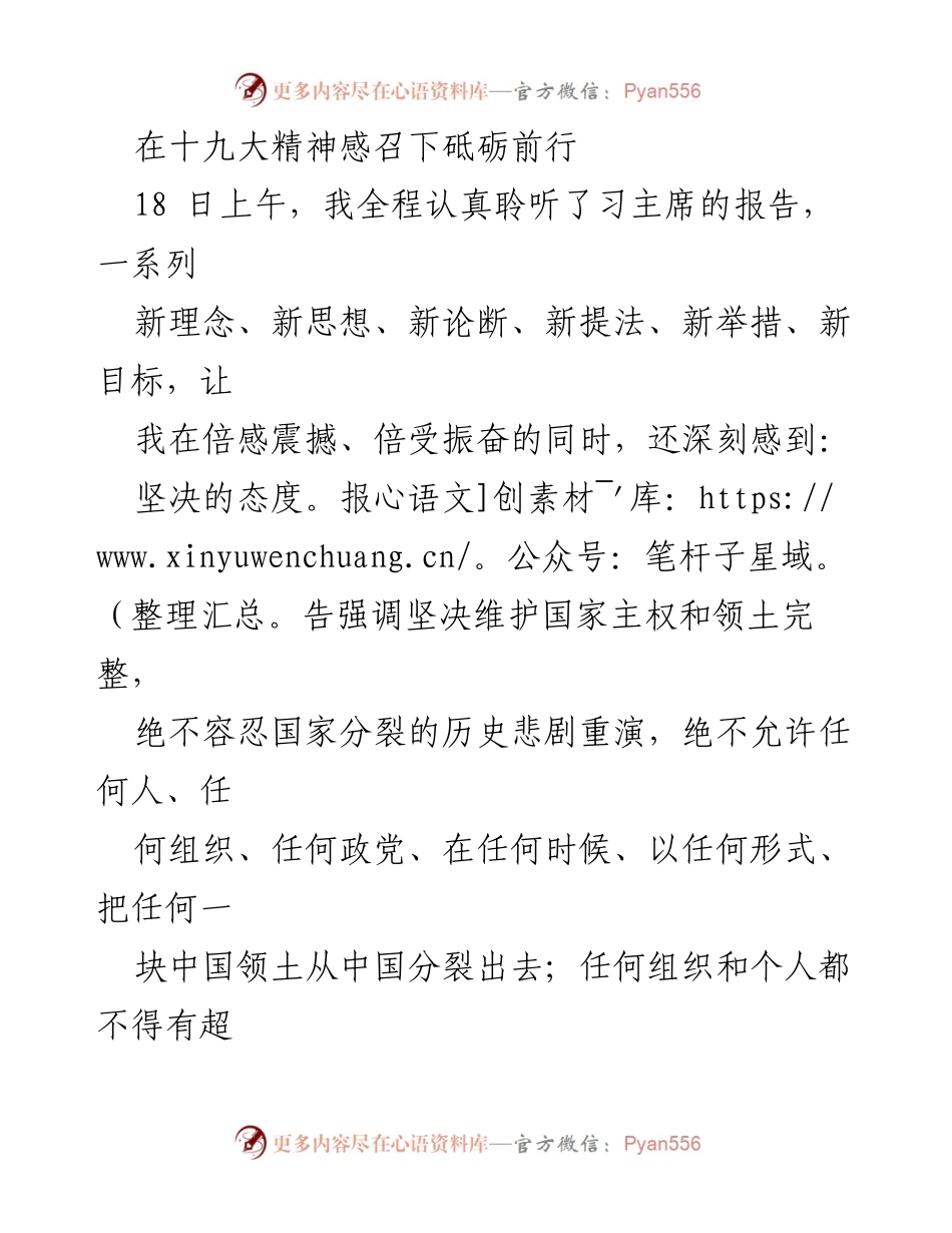 [发言] 党的十九大精神学习会 - 深刻领悟十九大精神，坚定信念奋勇前行.docx_第1页
