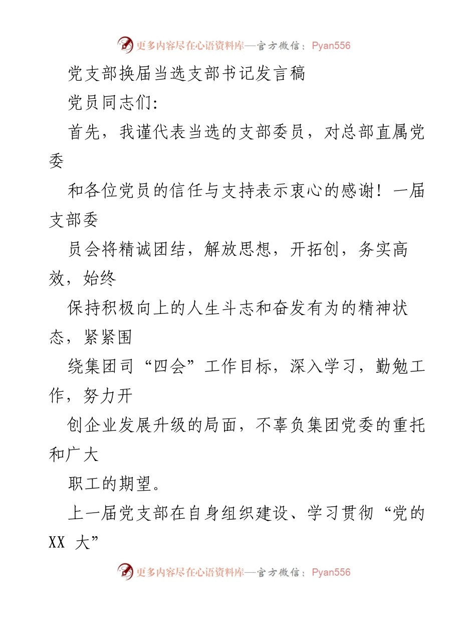 [发言] 党支部换届 - 新任支部书记发言：承诺与展望.docx_第1页