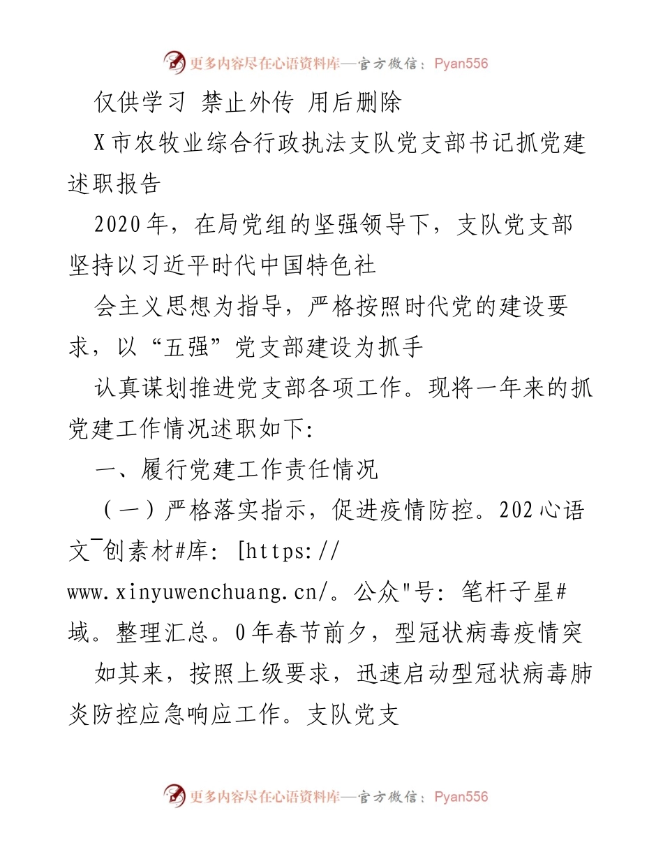[发言] 党建工作总结 - X市农牧业综合行政执法支队党支部书记2020年度抓党建述职报告.docx_第1页