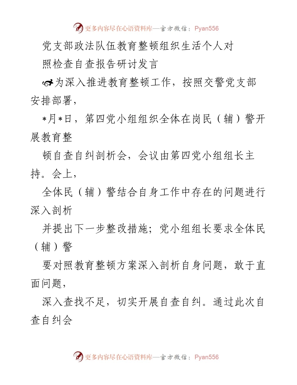 [发言] 党支部教育整顿会议 - 深入自查自纠，提升政治意识与担当作为.docx_第1页