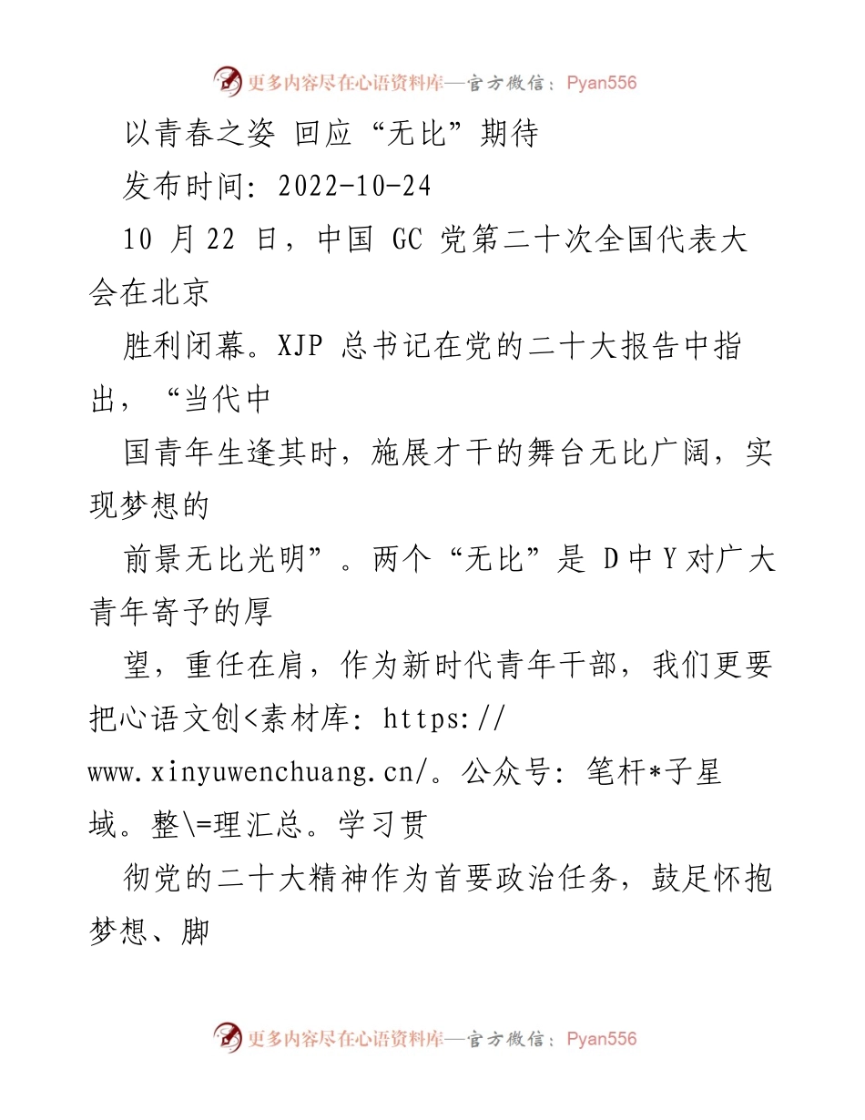 [发言] 党的二十大总结会 - 青年干部的使命与担当.docx_第1页