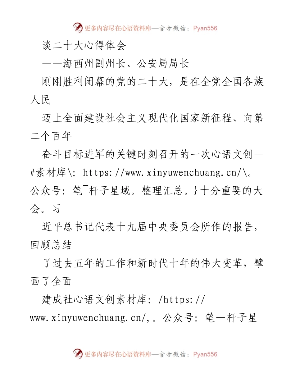[发言] 党的二十大后总结 - 深刻领会党的二十大精神，推动海西公安高质量发展.docx_第1页