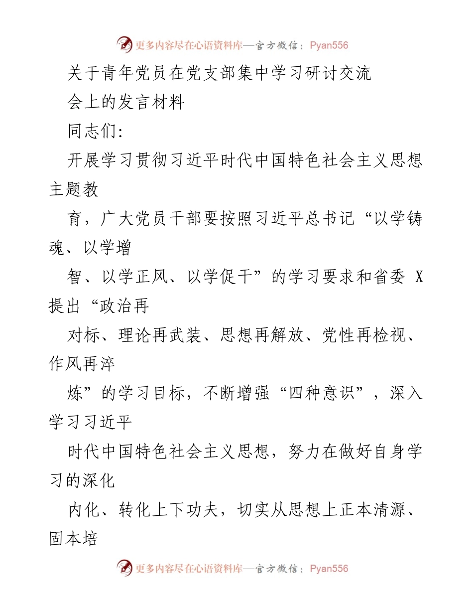 [发言] 党支部集中学习研讨交流会 - 青年党员在学习贯彻习近平思想中的责任与使命.docx_第1页