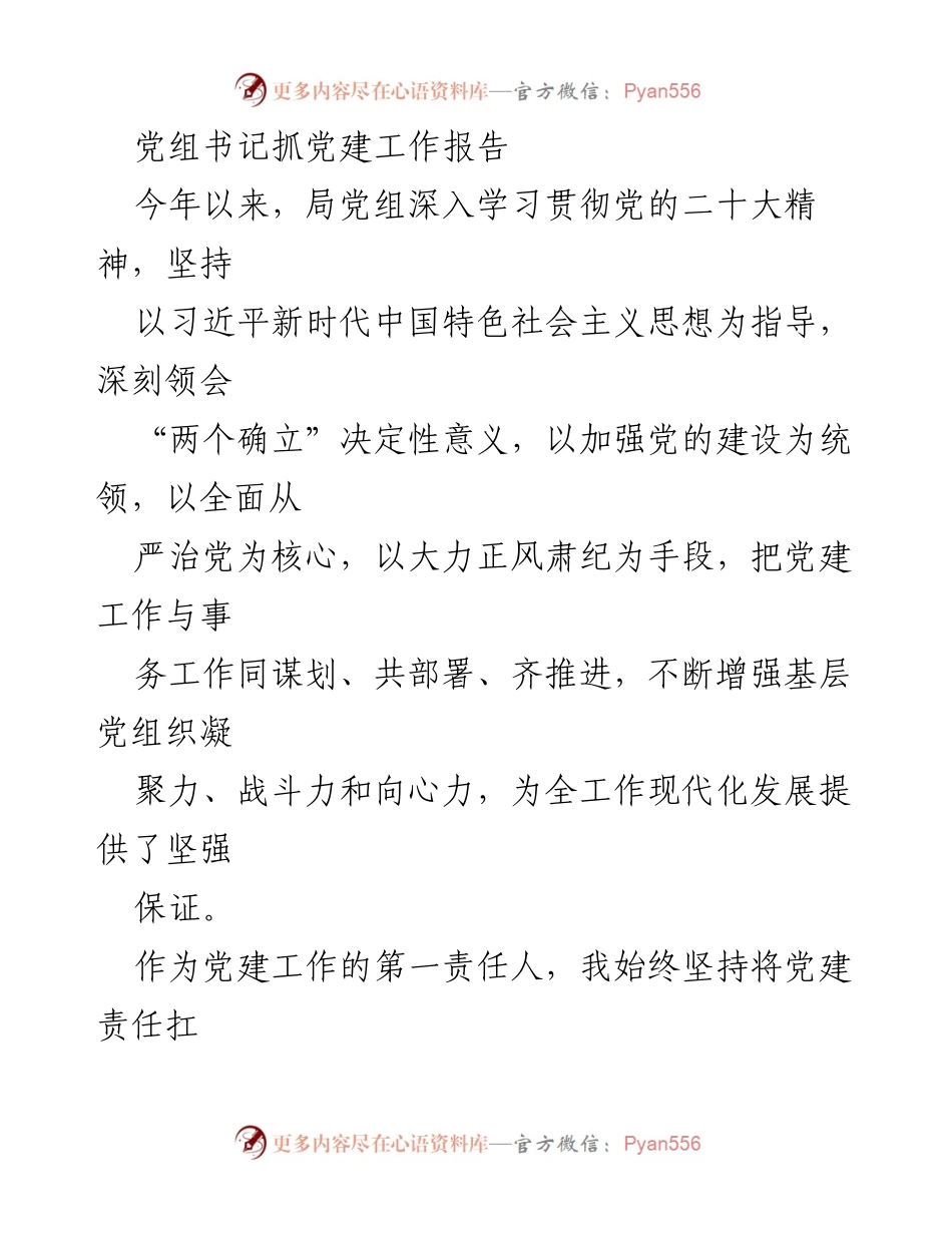 [发言] 党建工作会议 - 党组书记关于党建工作的总结与展望.docx_第1页