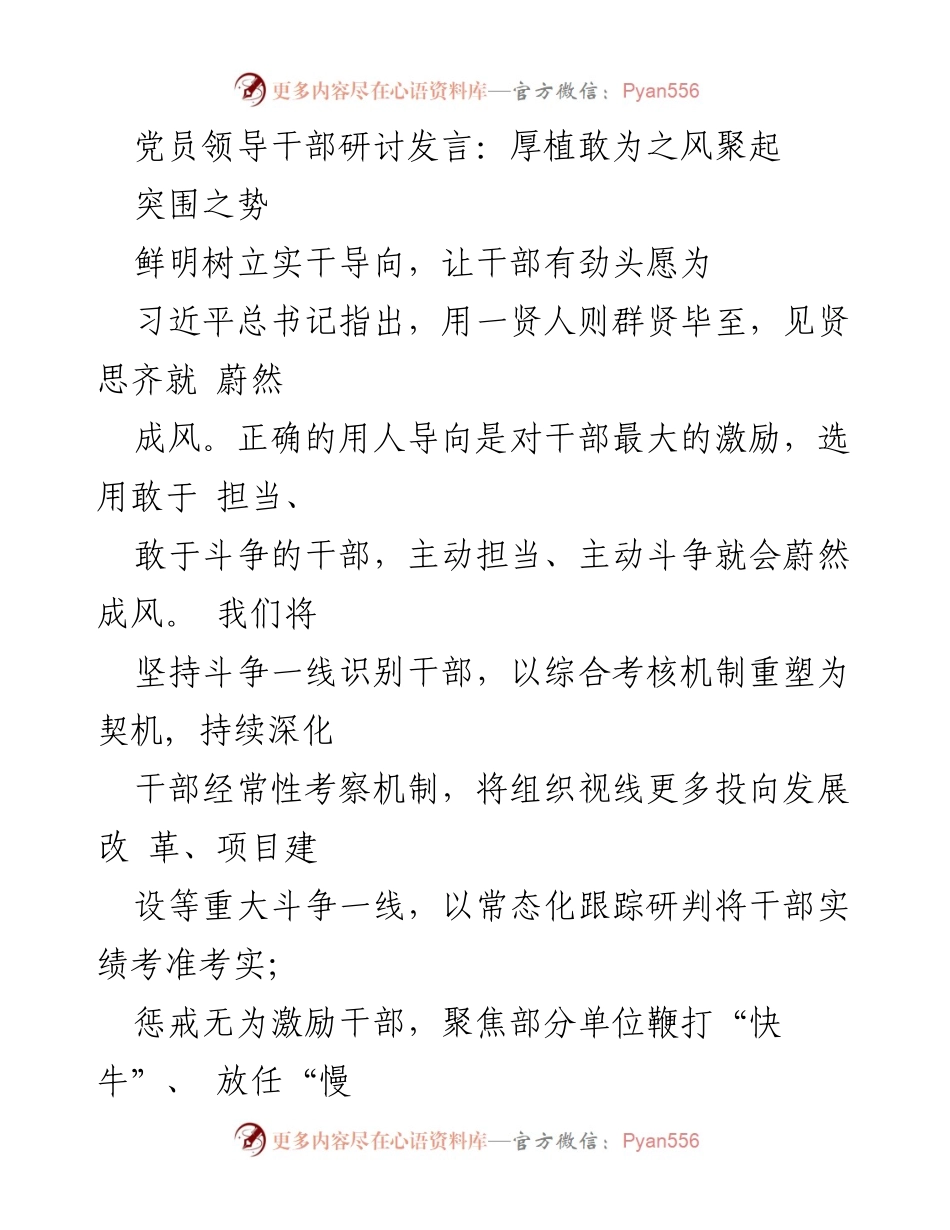 [发言] 党员领导干部研讨 - 激励担当作为，营造敢为之风.docx_第1页