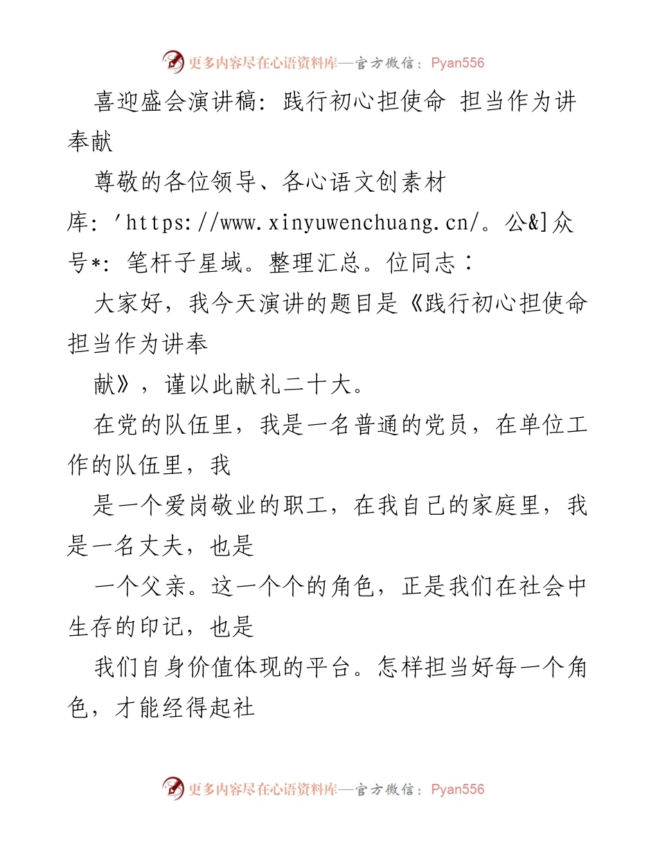 [发言] 党的二十大庆祝活动 - 践行初心担使命 贡献力量.docx_第1页