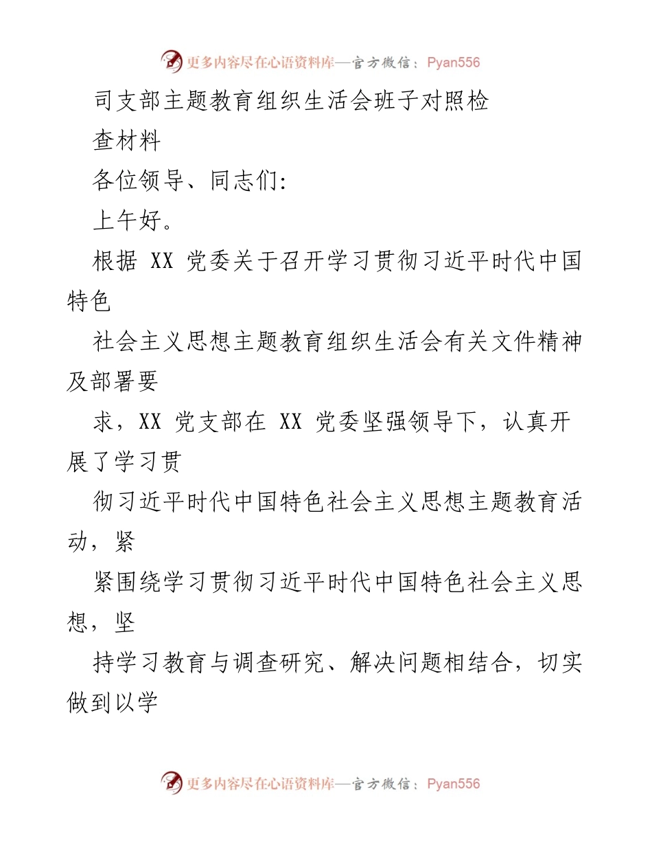 [发言] 党支部主题教育组织生活会 - 班子对照检查材料报告.docx_第1页