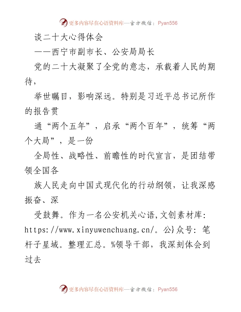 [发言] 党的二十大心得体会 - 深刻领悟党的二十大精神，推动公安事业新发展.docx_第1页