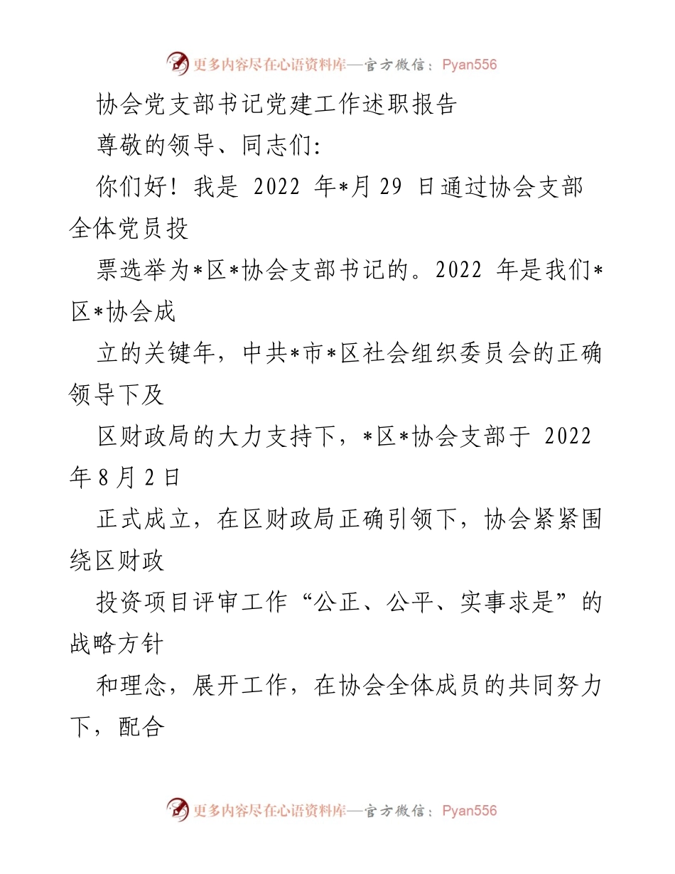 [发言] 党建工作述职 - 协会党支部书记年度工作总结报告.docx_第1页