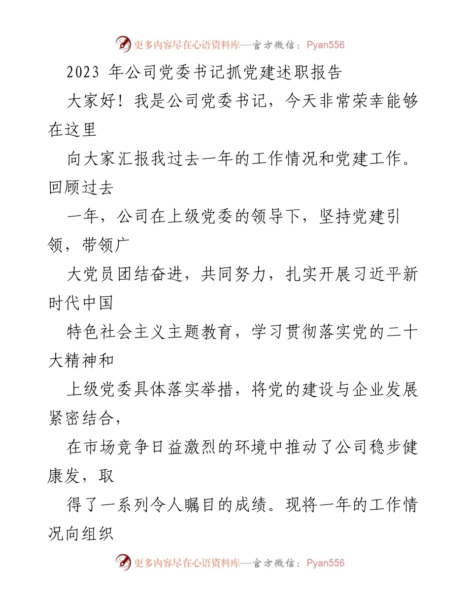 [发言] 党建述职 - 2023年公司党委书记党建工作述职报告_1.docx_第1页