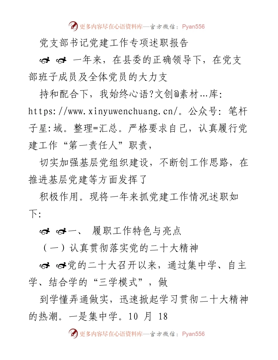 [发言] 党支部述职 - 党建工作专项述职报告.docx_第1页