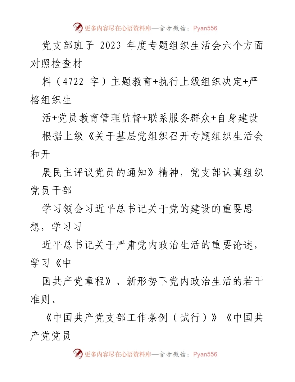 [发言] 党支部专题组织生活会 - 2023年度党支部班子对照检查与整改措施报告_1.docx_第1页