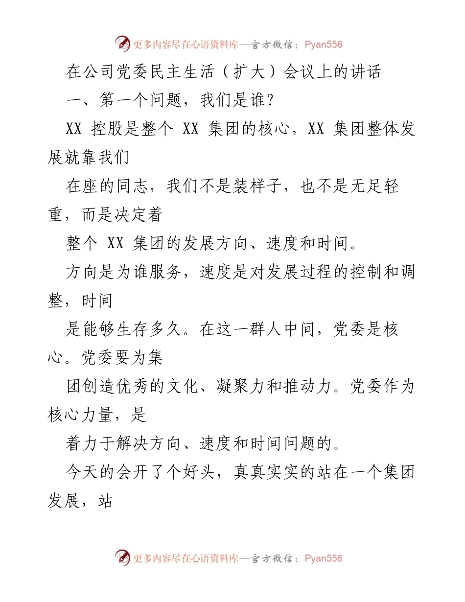 [发言] 党委民主生活（扩大）会议 - 党委核心作用与企业发展责任.docx_第1页