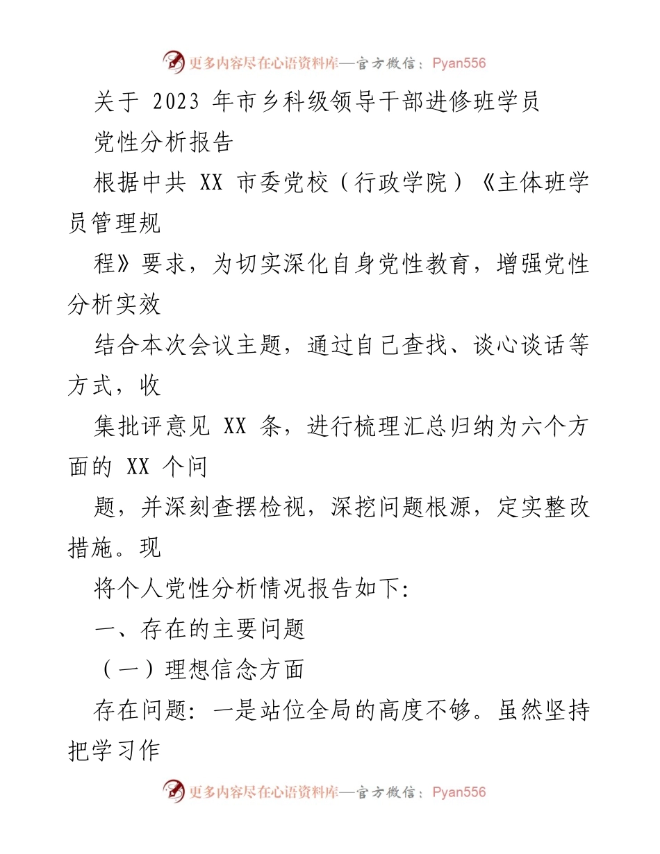 [发言] 党性分析会议 - 2023年市乡科级领导干部党性分析报告.docx_第1页