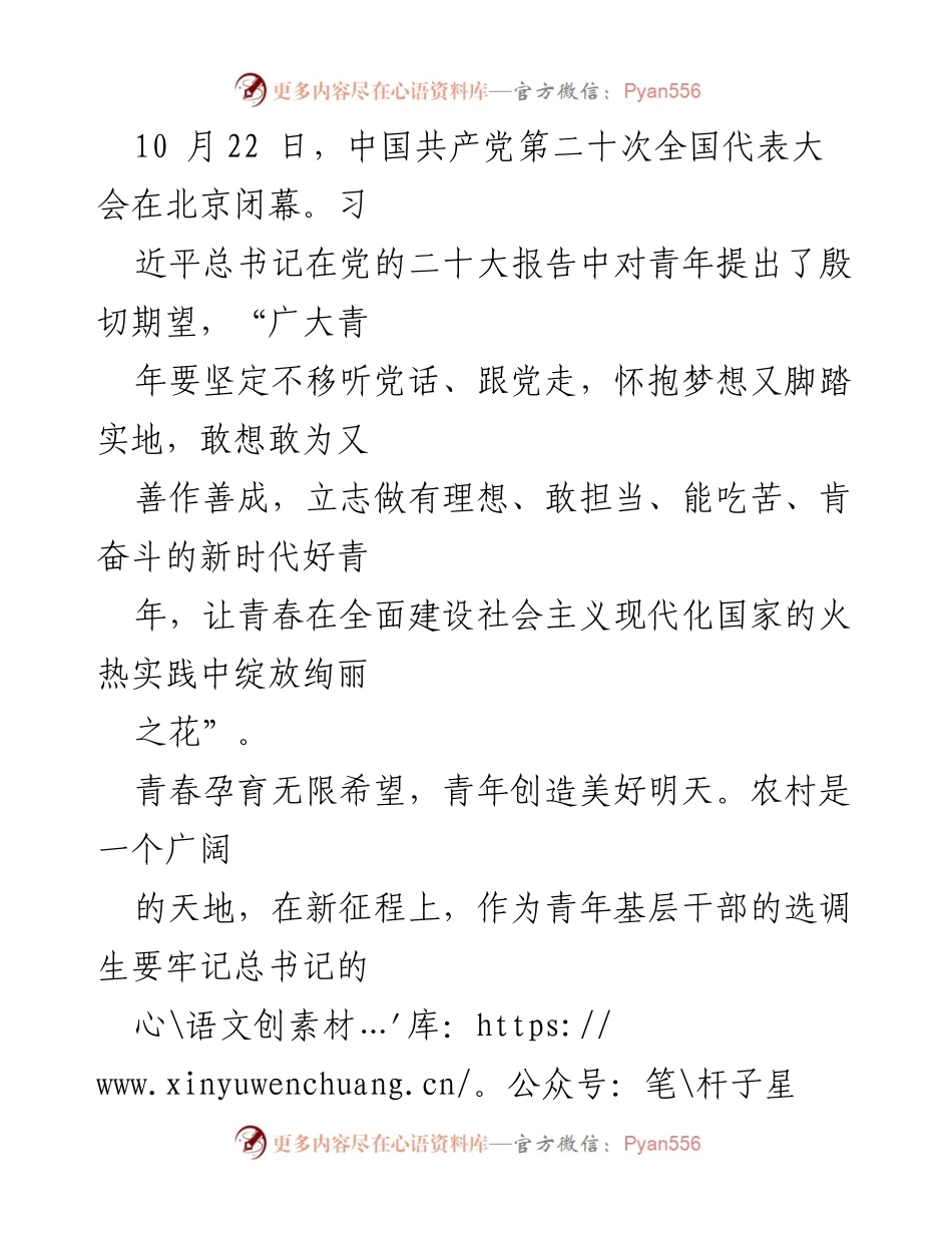 [发言] 党的二十大青年工作会议 - 新时代青年基层干部的使命与担当.docx_第1页