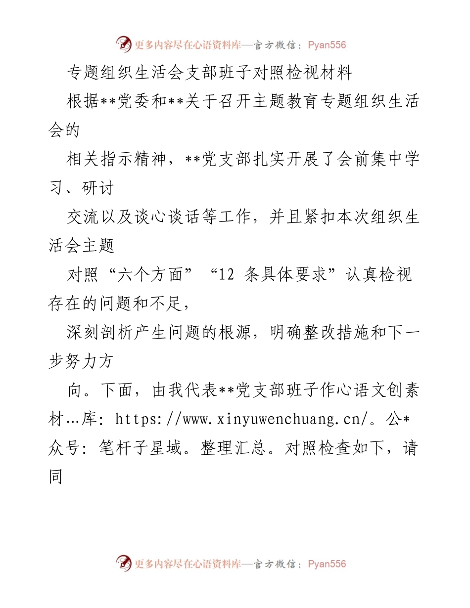 [发言] 党支部专题组织生活会 - 党支部班子对照检视与整改措施总结.docx_第1页
