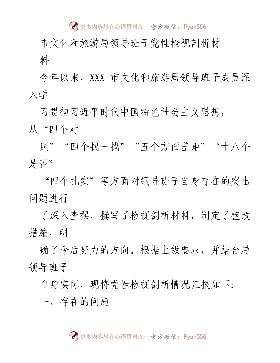 [发言] 党性检视 - 市文化和旅游局领导班子党性检视剖析报告.docx_第1页