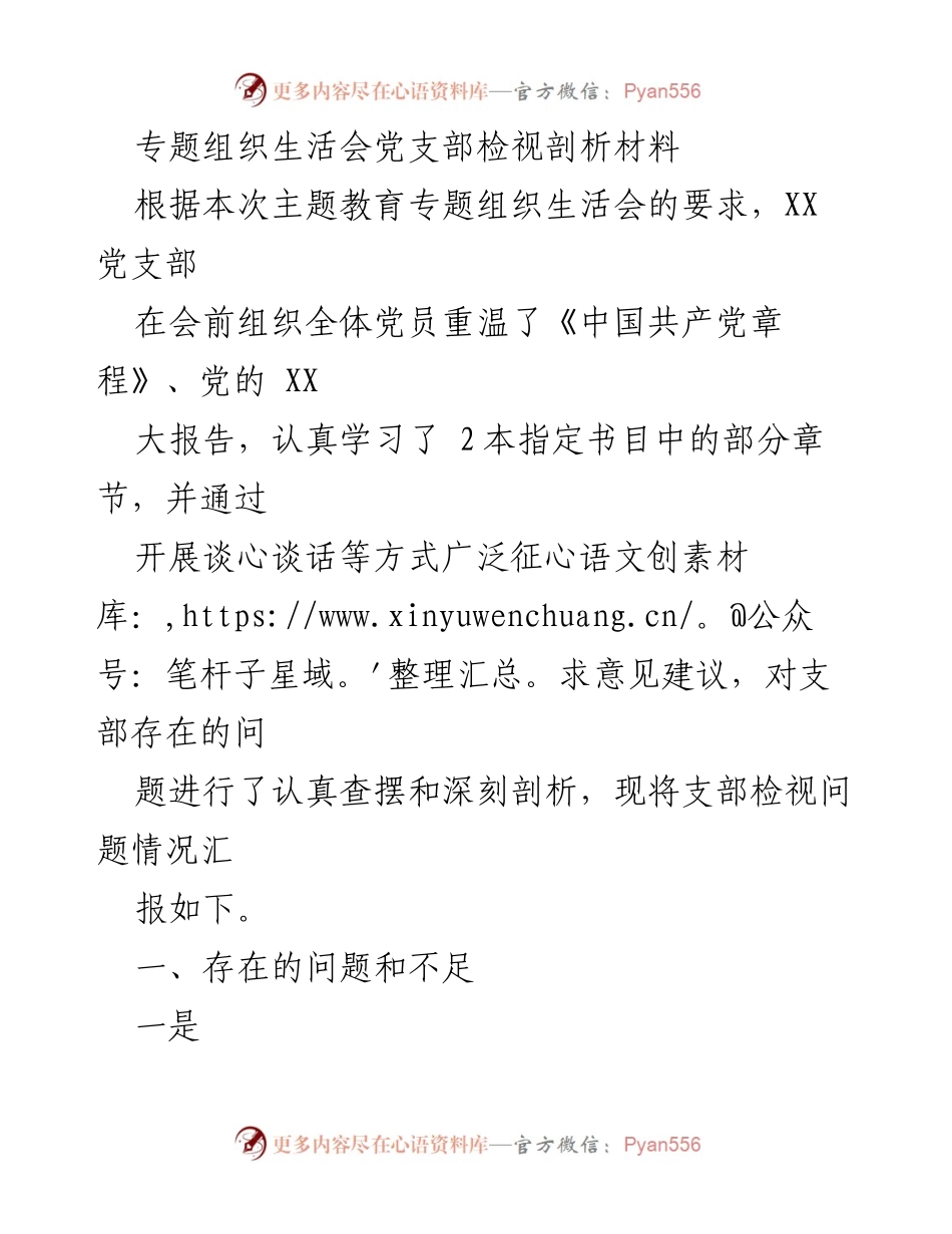 [发言] 党支部专题组织生活会 - 党支部检视剖析与问题反思报告.docx_第1页