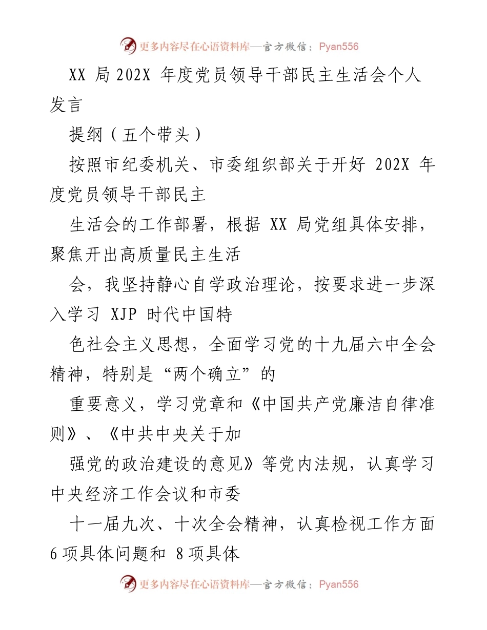 [发言] 党员领导干部民主生活会 - 202X年度民主生活会个人发言提纲.docx_第1页