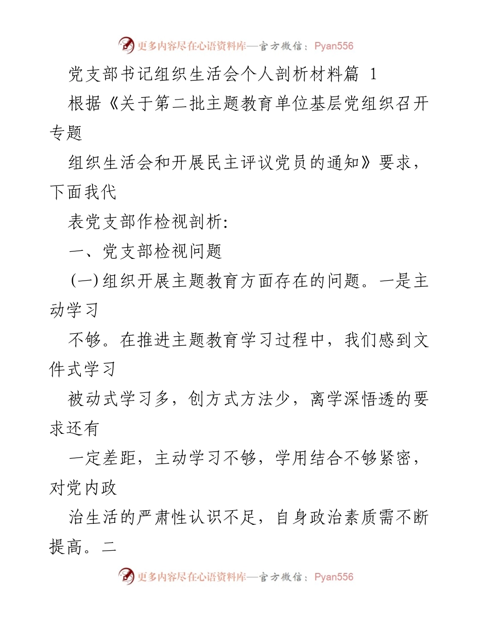 [发言] 党支部组织生活会 - 党支部书记个人剖析与问题检视报告.docx_第1页