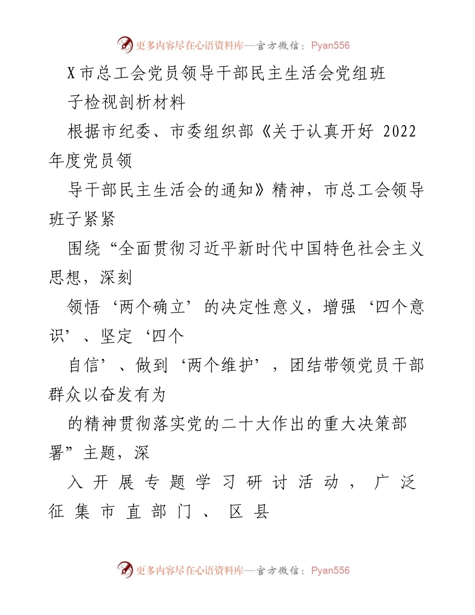 [发言] 党员领导干部民主生活会 - 市总工会党组班子民主生活会检视剖析报告.docx_第1页