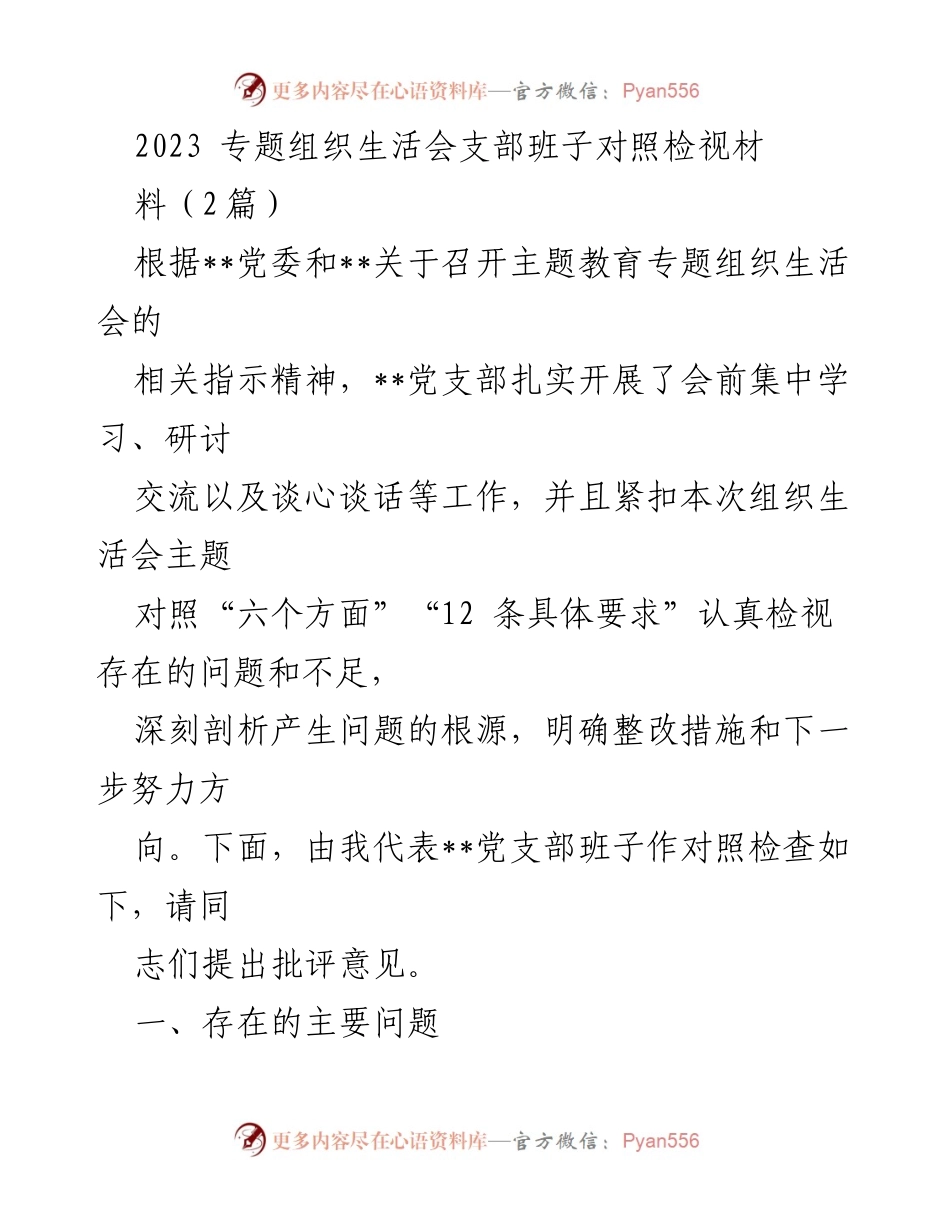 [发言] 党支部专题组织生活会 - 2023年党支部班子对照检视及整改措施报告.docx_第1页