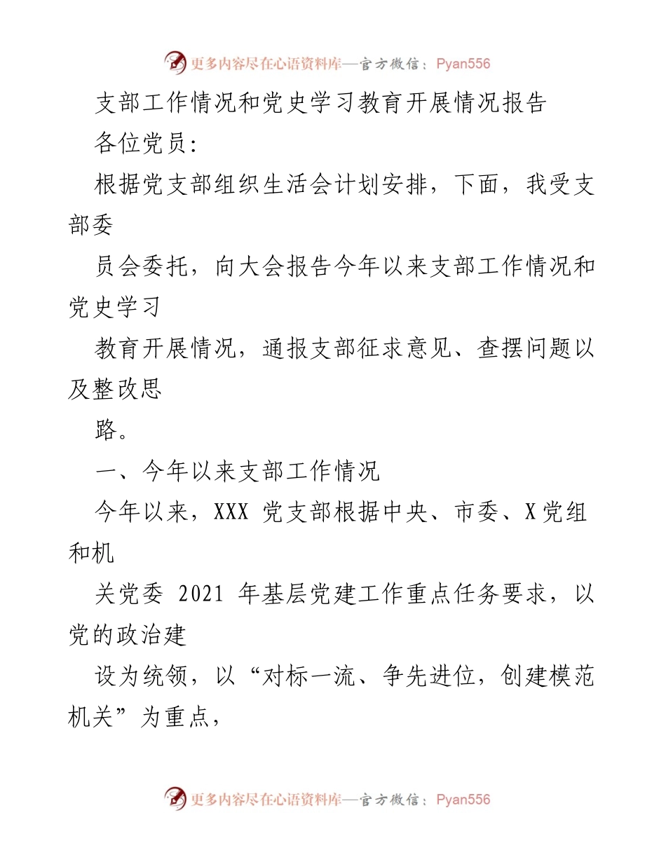 [发言] 党支部组织生活会 - 支部工作与党史学习教育开展情况报告.docx_第1页