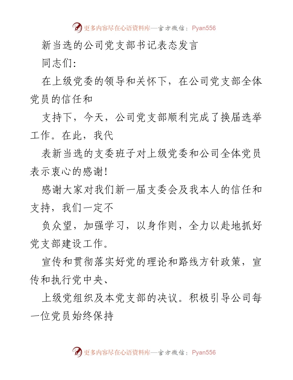 [发言] 党支部换届 - 新当选党支部书记的表态发言.docx_第1页
