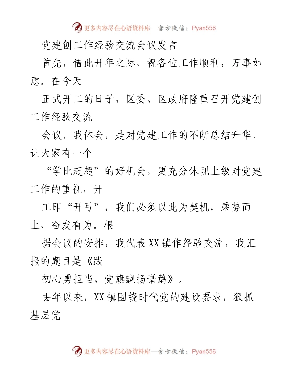[发言] 党建工作经验交流会议 - 《践初心勇担当，党旗飘扬谱篇》.docx_第1页