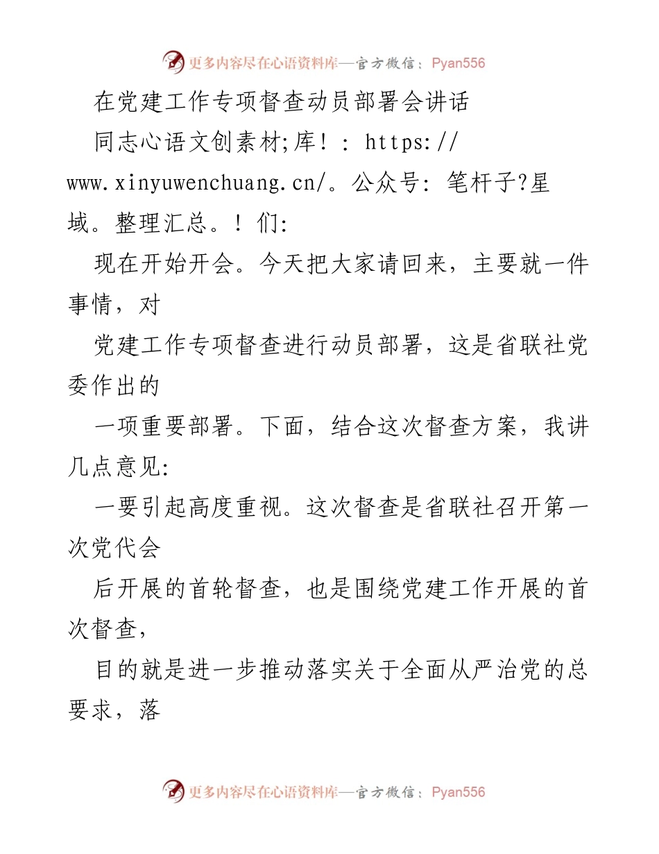[发言] 党建工作专项督查动员部署会 - 党建督查工作的重要性与实施方案解读.docx_第1页