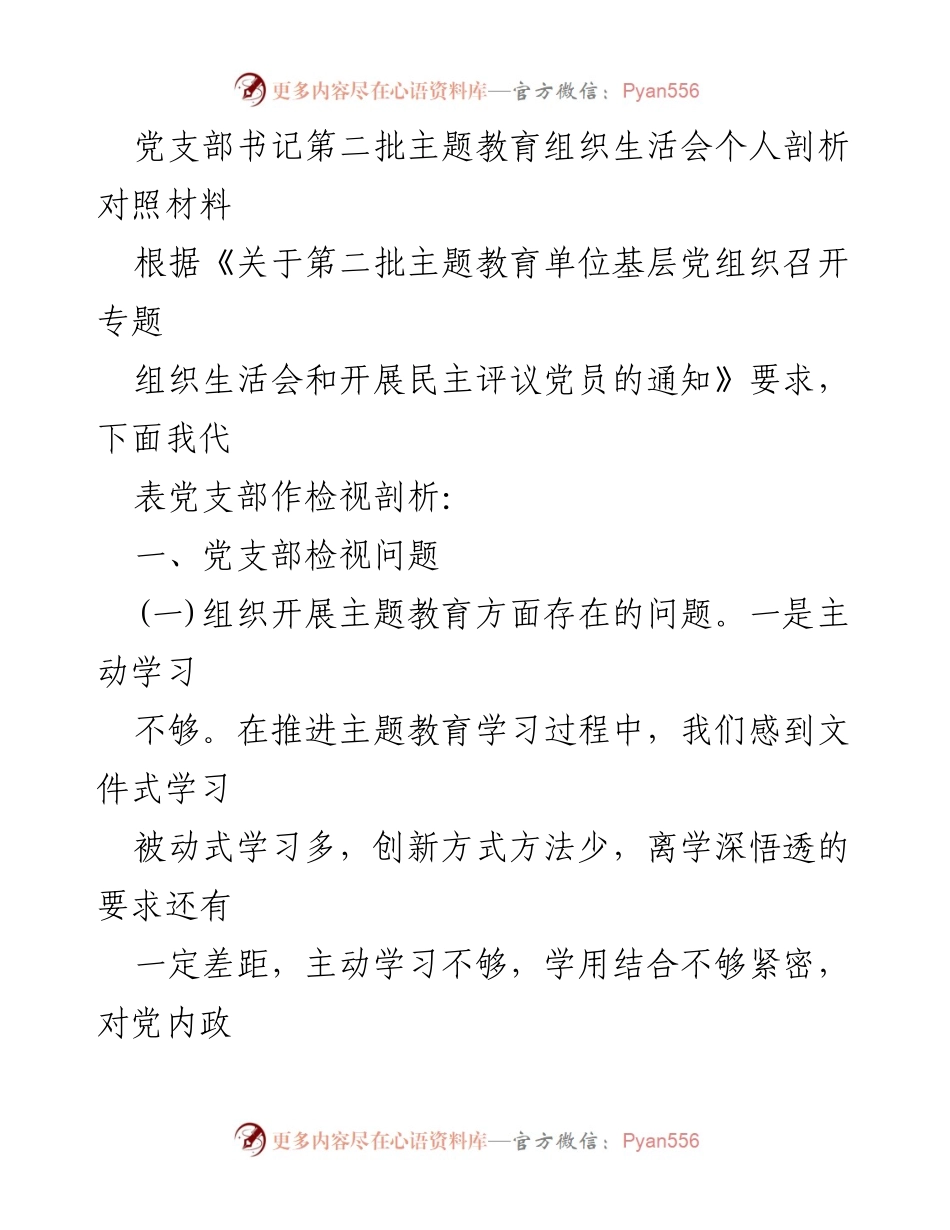 [发言] 党支部主题教育组织生活会 - 党支部书记个人剖析与问题检视报告_1.docx_第1页
