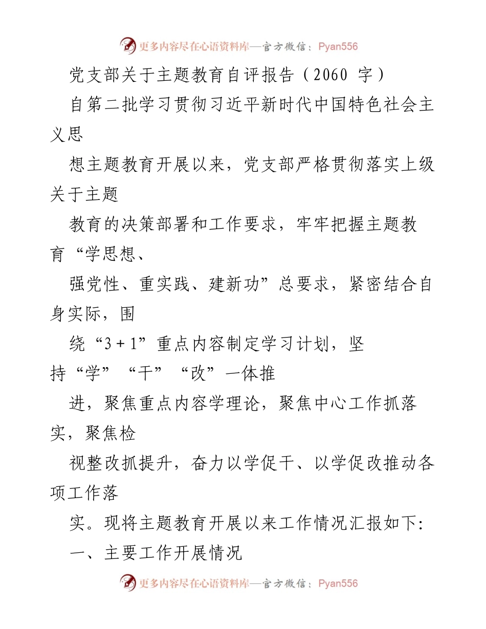[发言] 党支部主题教育 - 党支部主题教育自评报告总结.docx_第1页
