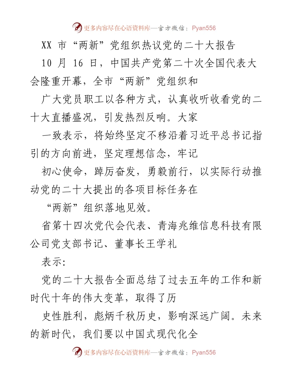 [发言] 党的二十大报告学习会 - XX市“两新”党组织热议党的二十大精神.docx_第1页