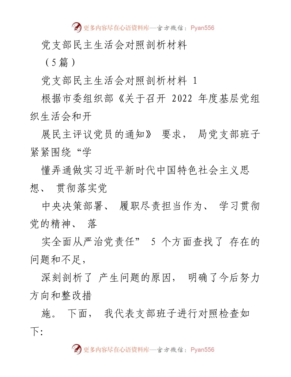 [发言] 党支部民主生活会 - 党支部对照剖析材料总结与整改措施.docx_第1页