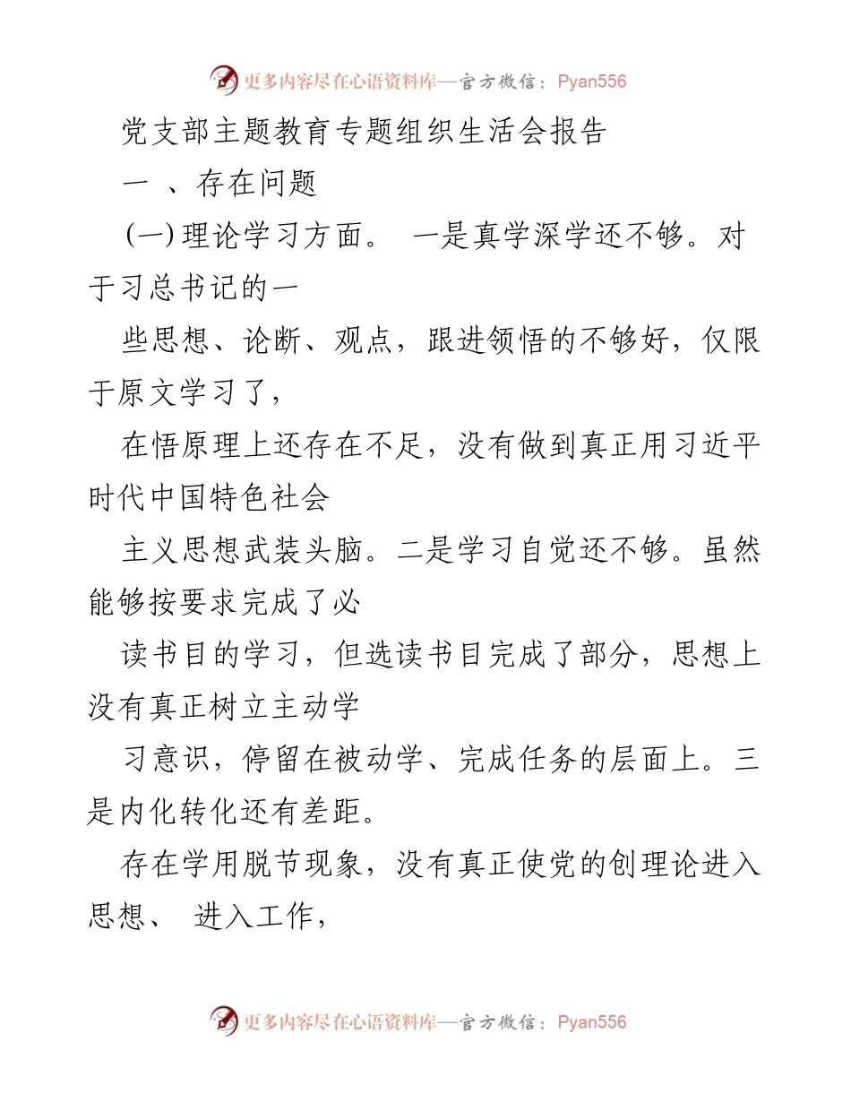 [发言] 党支部主题教育专题组织生活会 - 党支部主题教育生活会问题与改进建议报告.docx_第1页
