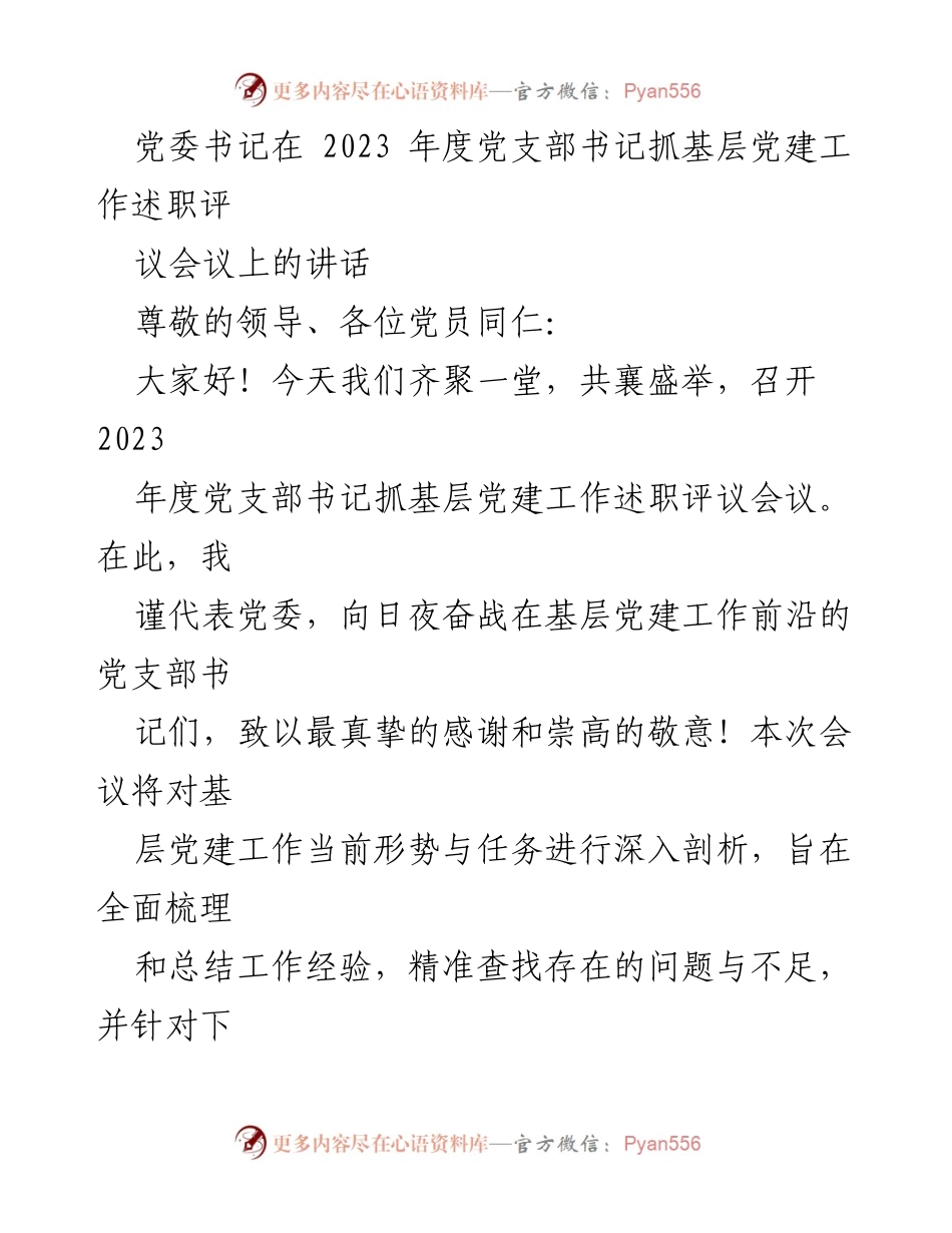 [发言] 党支部书记抓基层党建工作述职评议会议 - 强化党建引领，促进业务发展：2023年度党支部书记述职讲话.docx_第1页