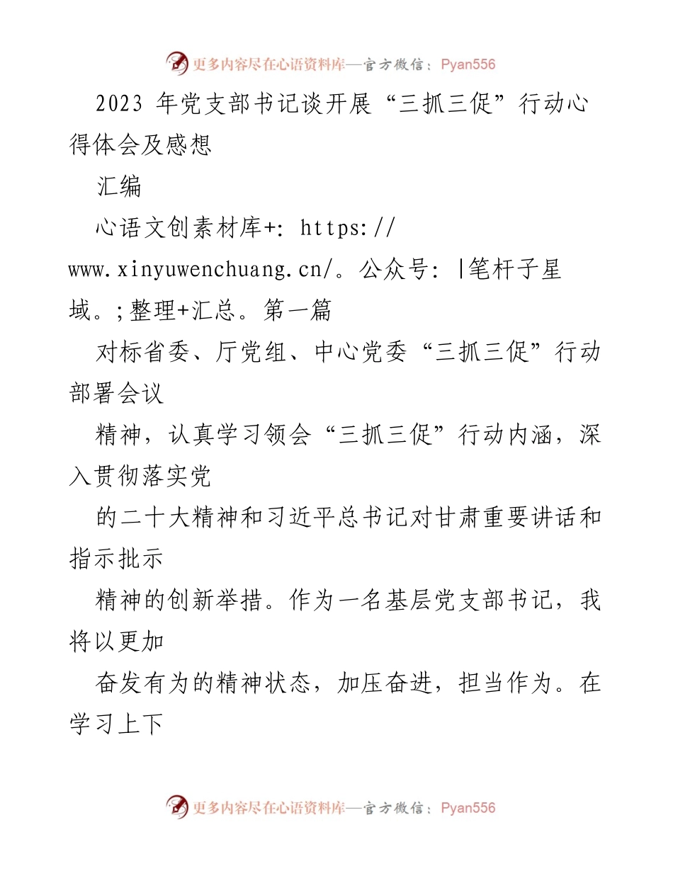 [发言] 党支部书记心得分享 - “三抓三促”行动心得体会与工作展望.docx_第1页